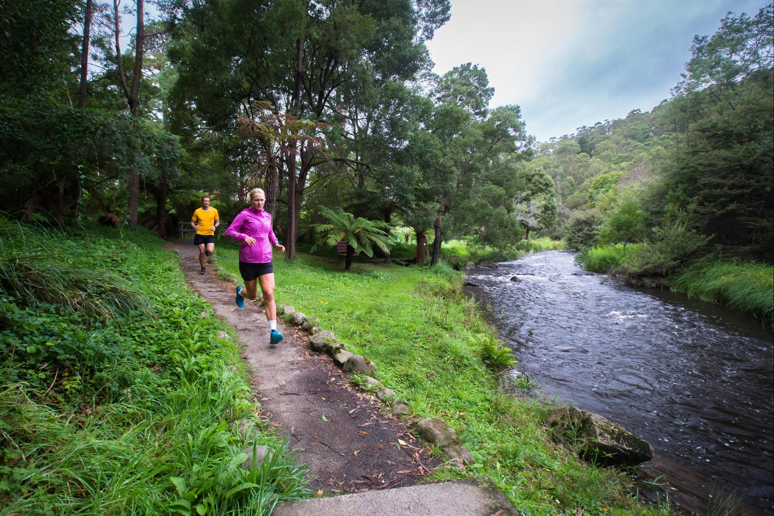 A cruisey 5km loop run aside the Yarra River, part of the Warburton Trail Fest running event