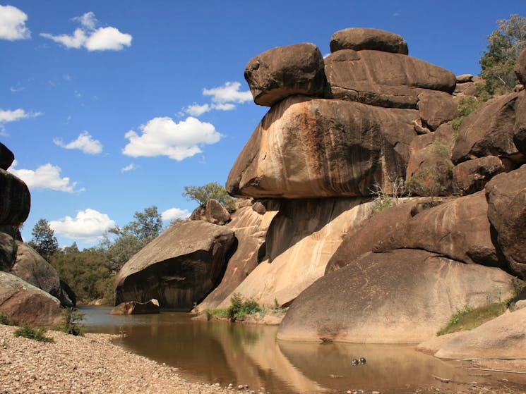 A view from the watering hole