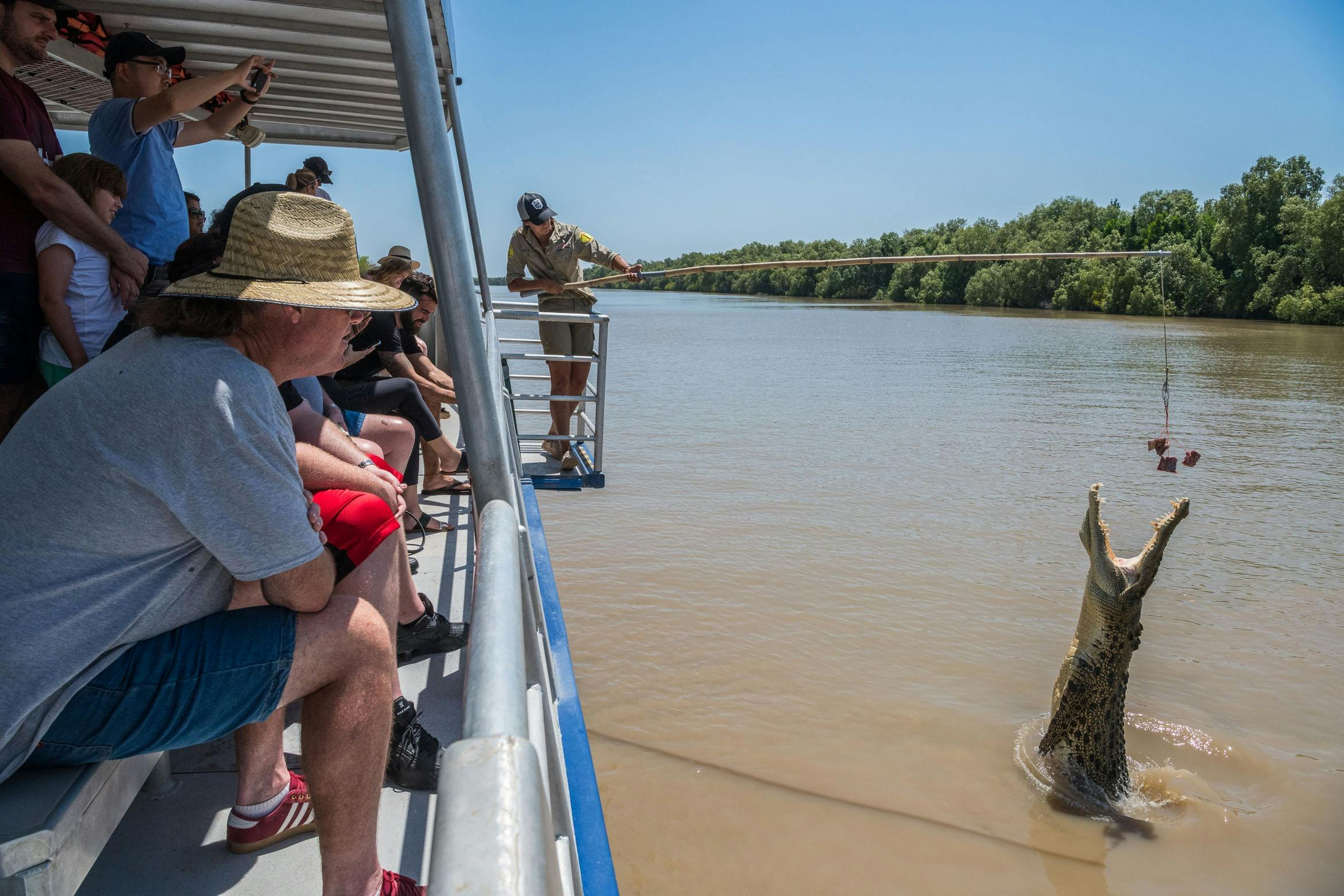 Jumping Crocodile Cruise with Sacred Owl Tours