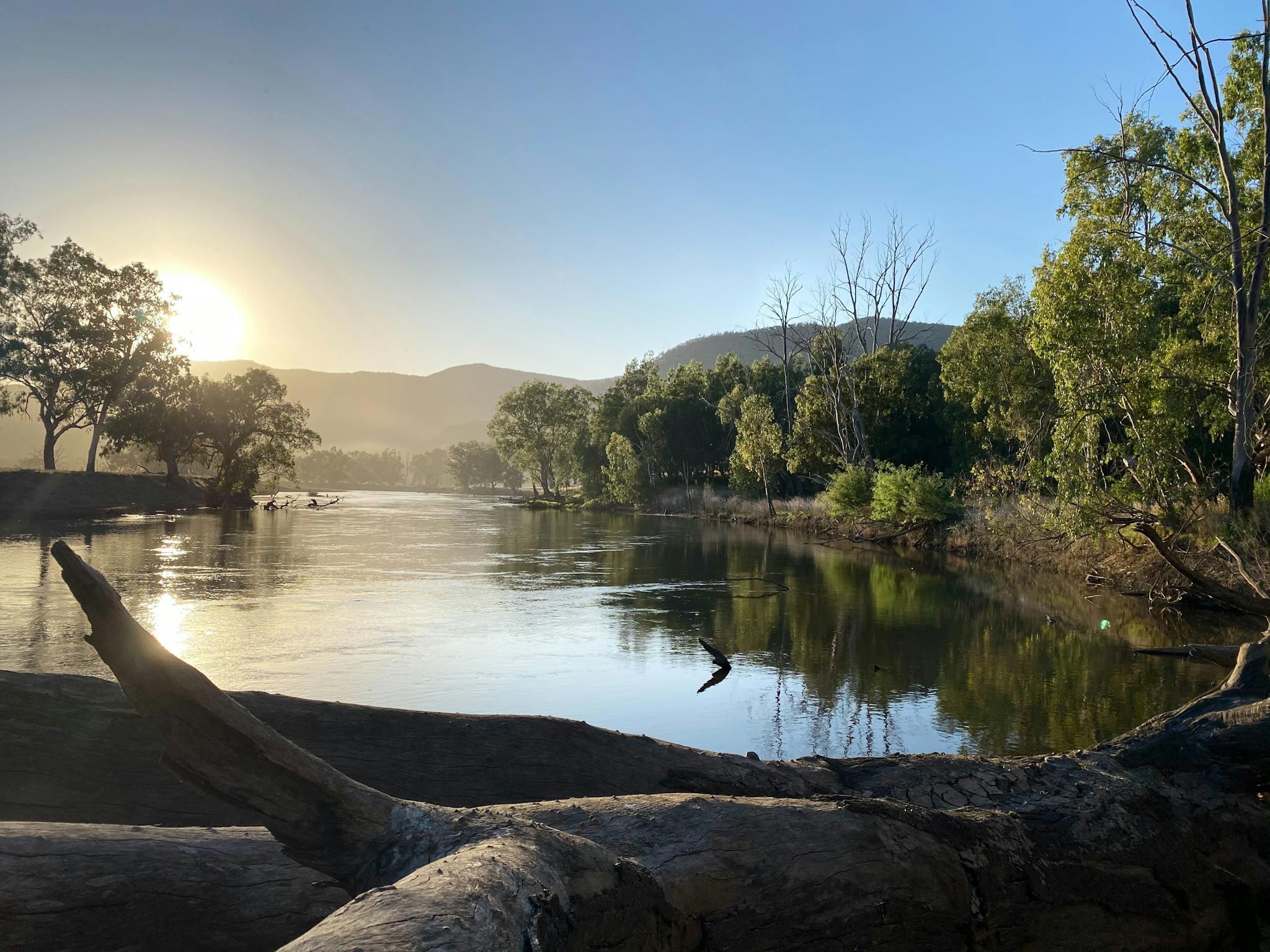 Murray River