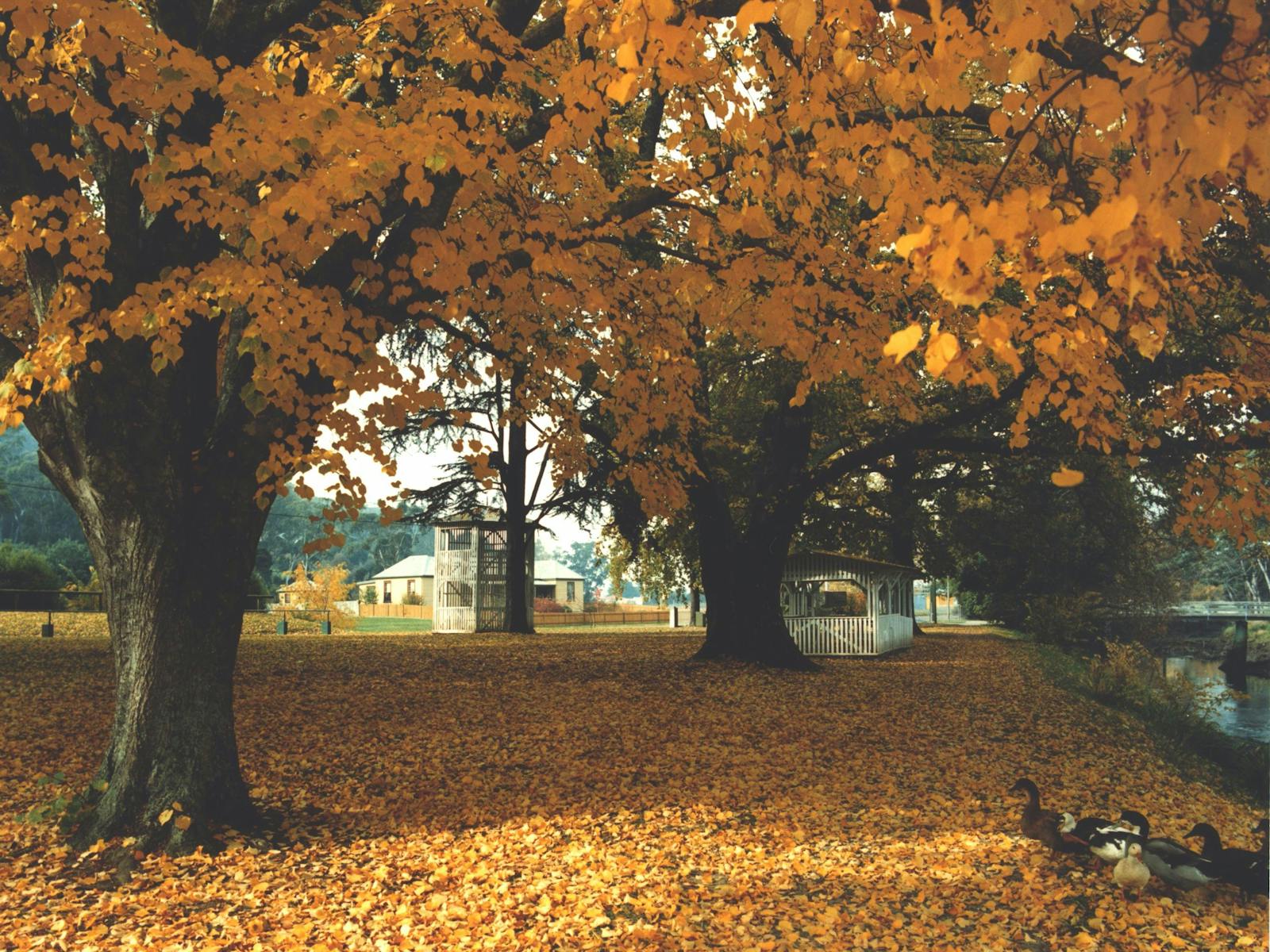 Bells Parade, Latrobe