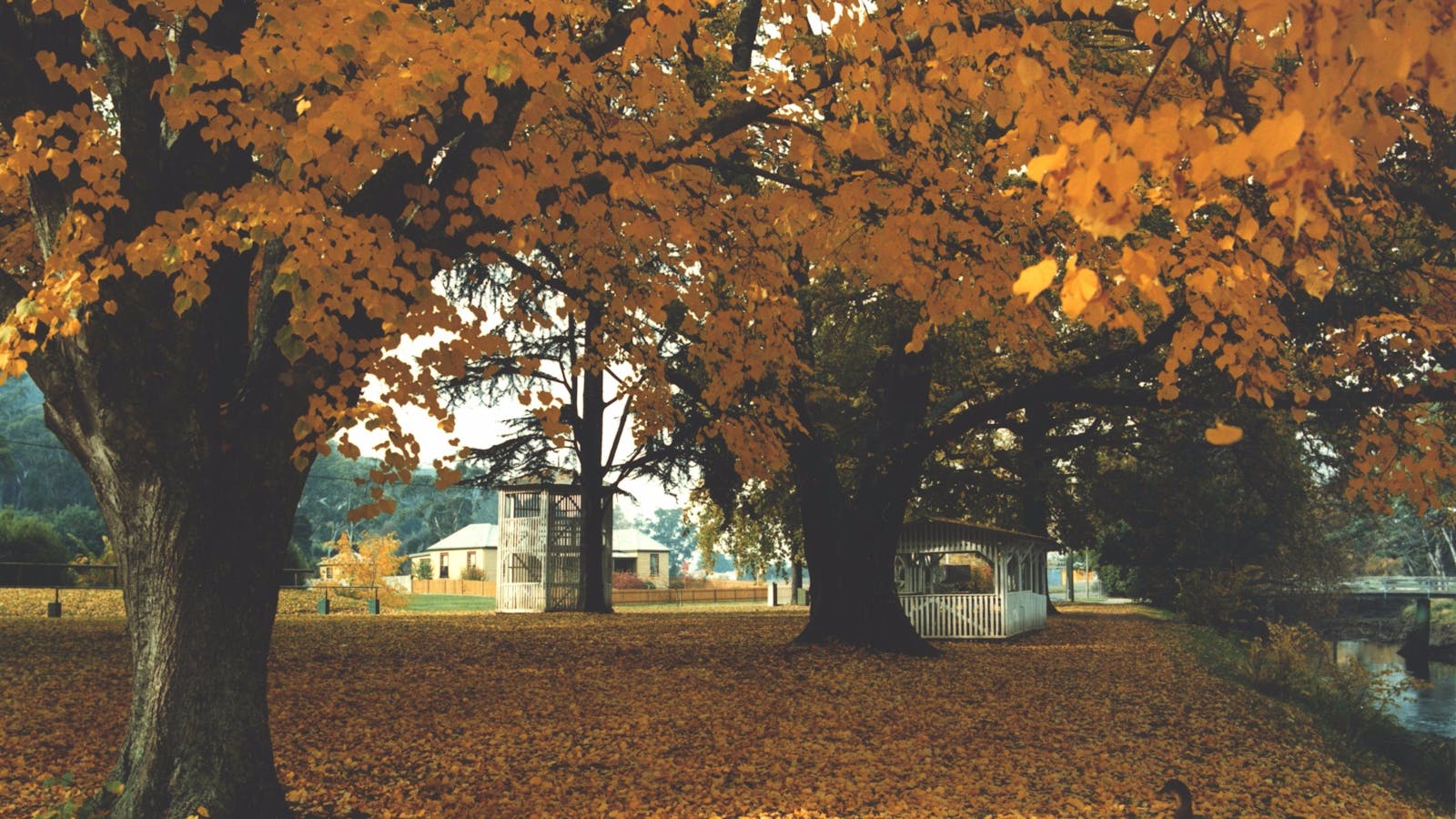 Bells Parade Reserve