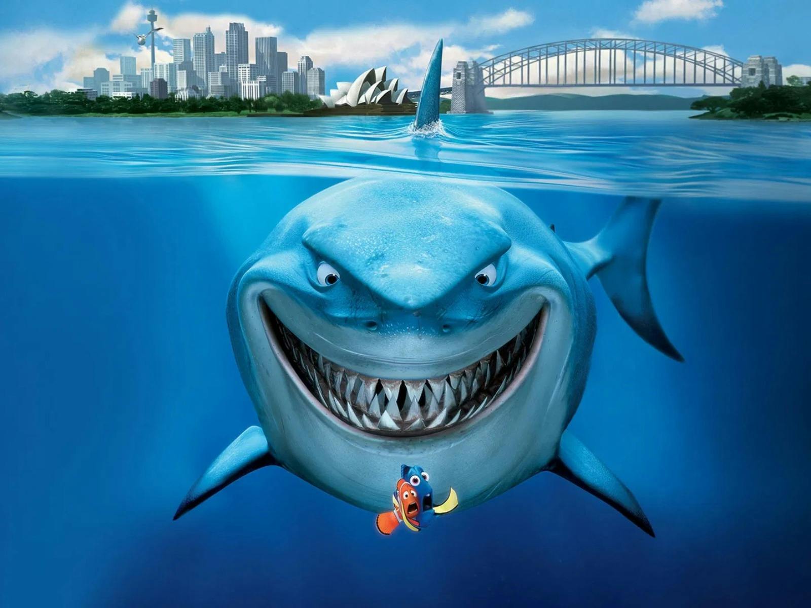 Large shark grinning while baring teeth and hunting small fish