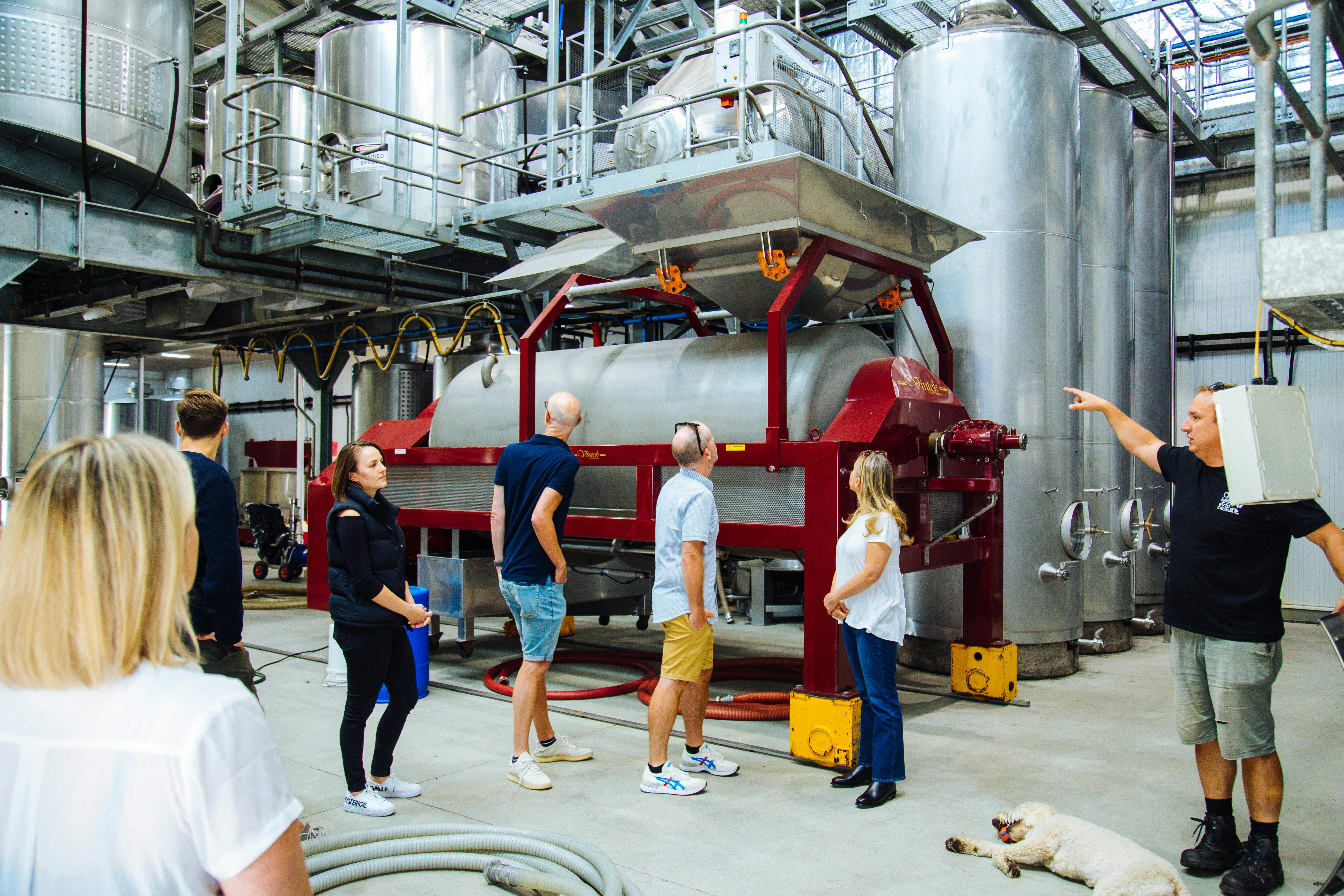 Professional tour coordinator and designated driver at each destination