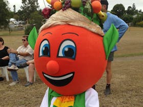 Gayndah Orange Festival Cover Image