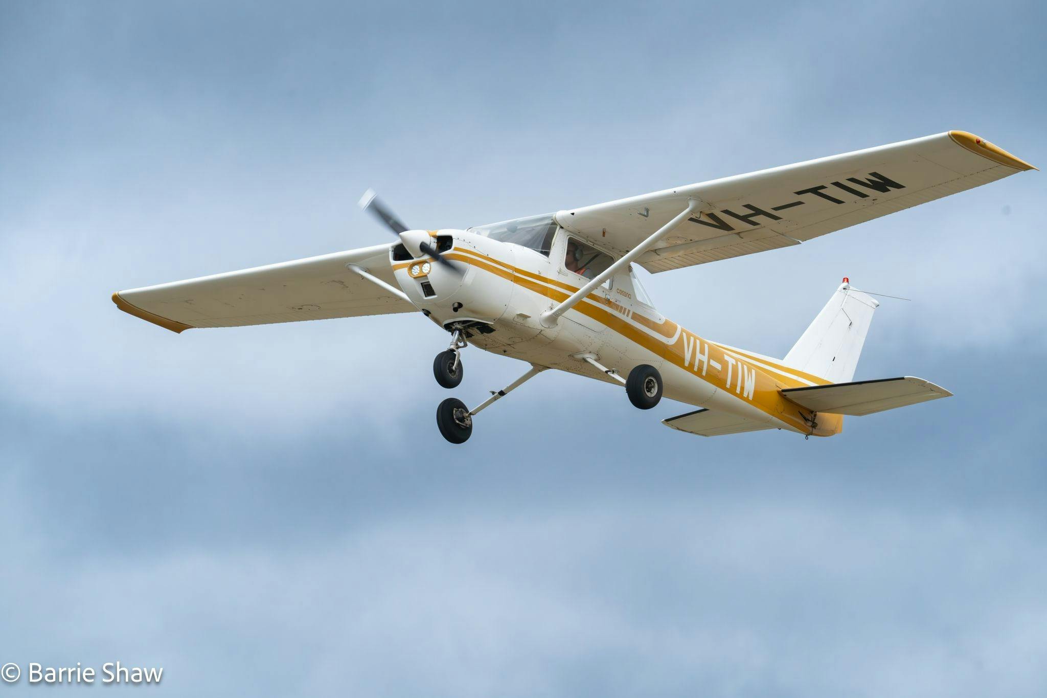 Trial Instructional Flight