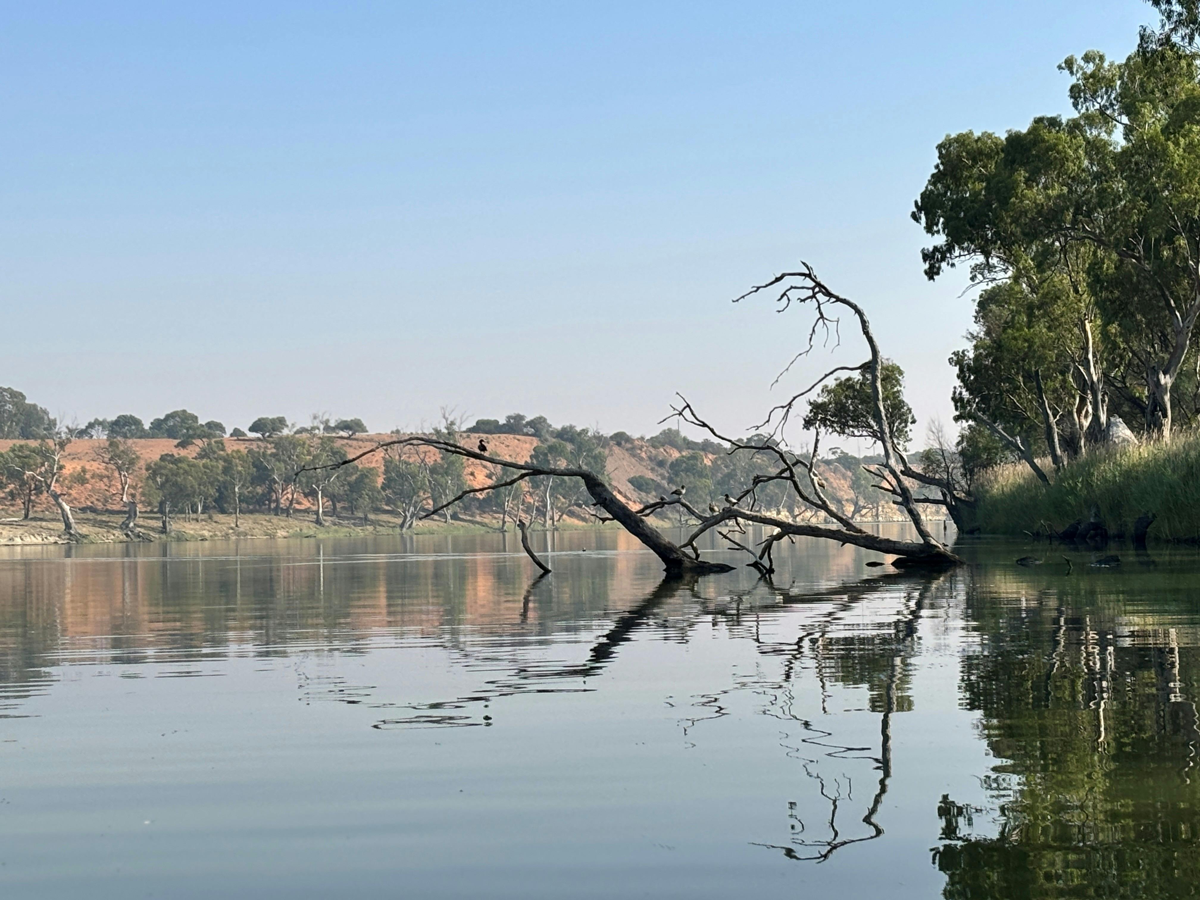 Holder Bend Camping Reserve