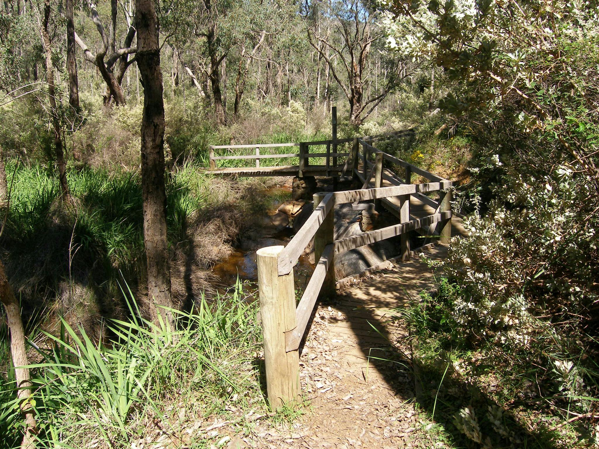 Wooden bridge and railing near trail surrounded by trees.
