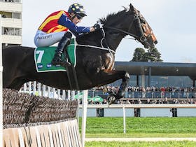 Kevin Lafferty Hurdle and Thackeray Steeplechase Day Cover Image