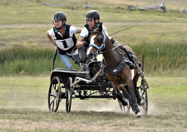 Image of the event 'NSW CDE Championships'