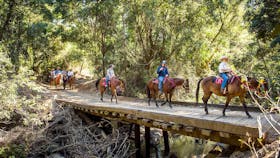 Horse riding through bushland