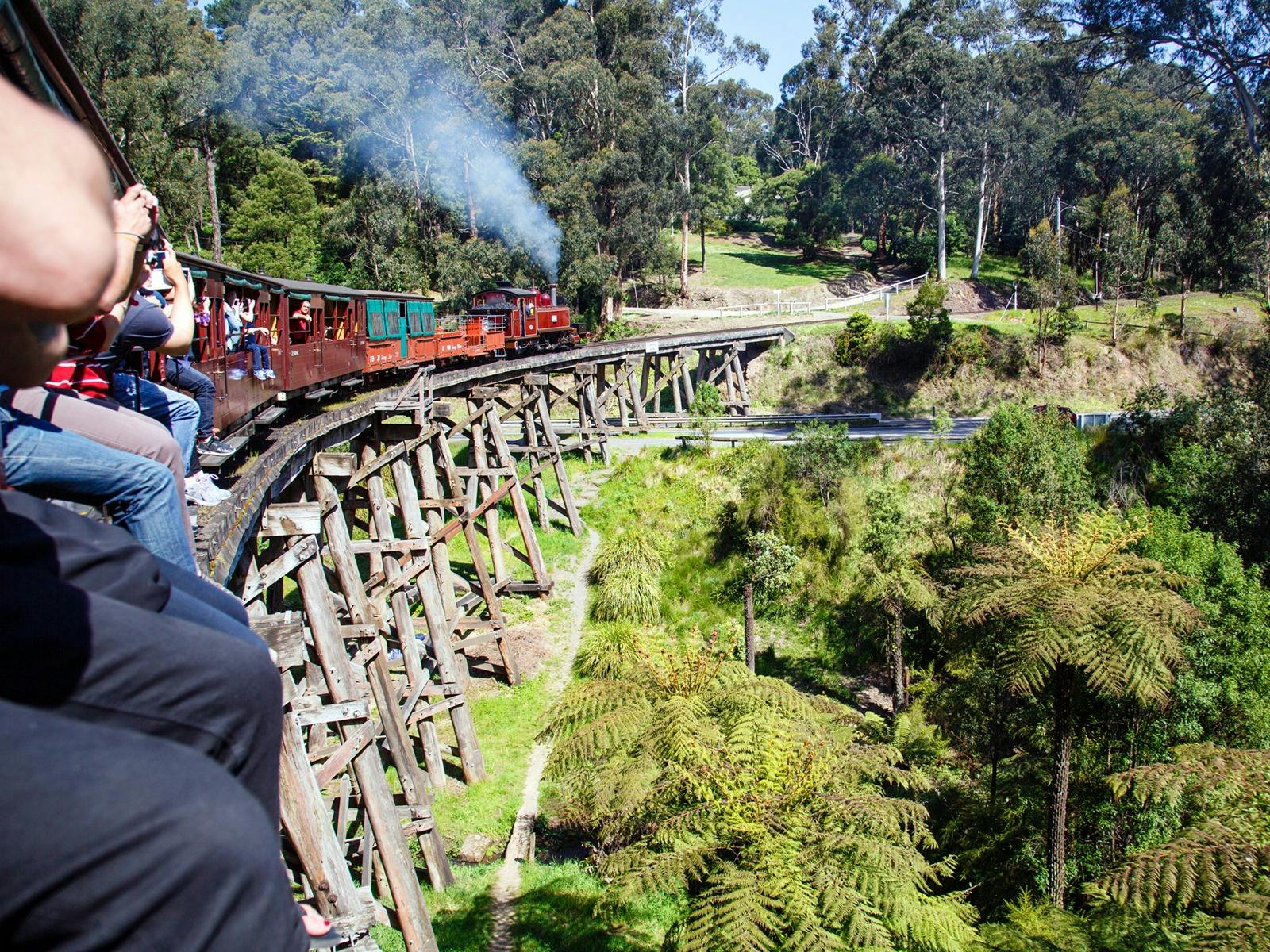 People enjoying their trip through the Dandenongs on Puffing Billy steam train