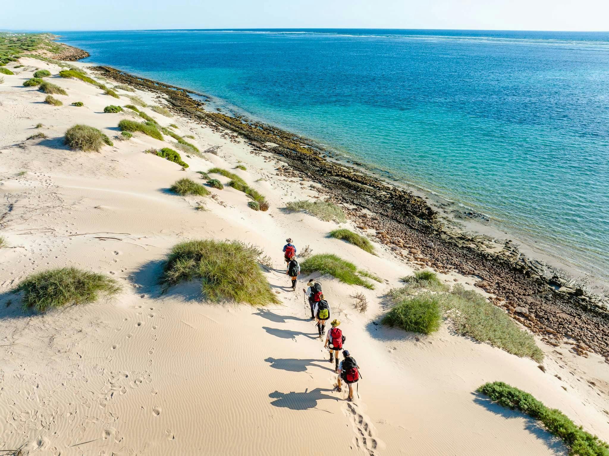 Aerial view of a group of people trekking along the Ningaloo Coast,  alongside turquoise water