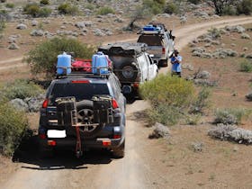 Along the track in the Flinders Ranges