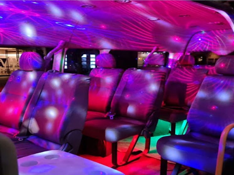 13 seat party bus