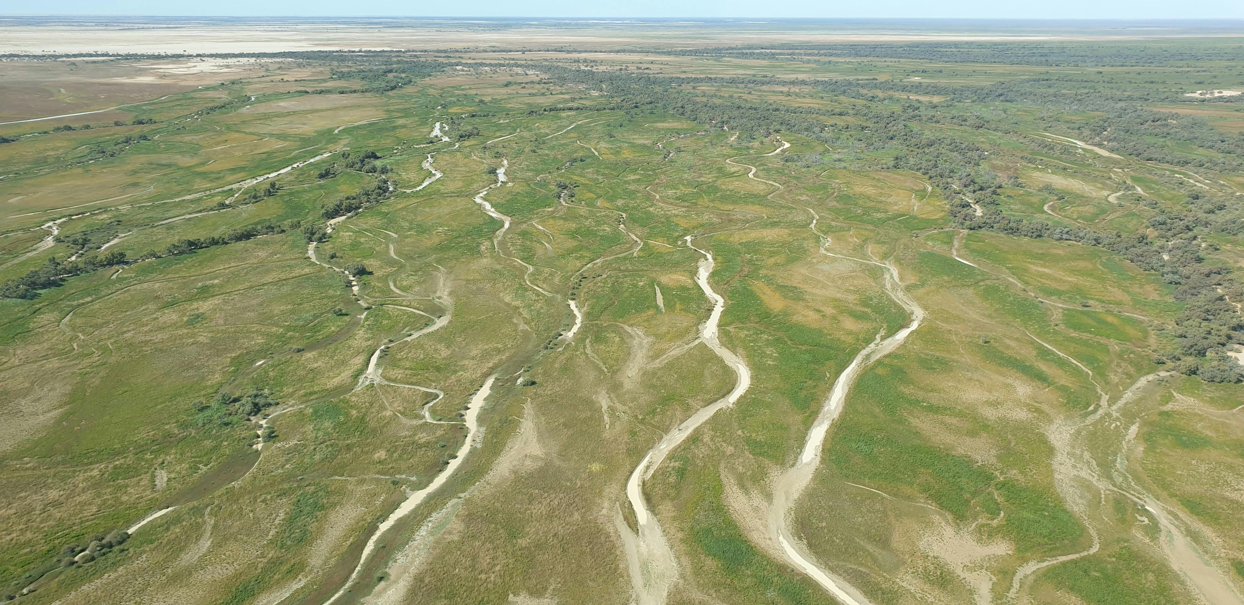 Goyder Lagoon