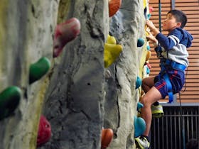 Rock Climbing on the Gold Coast