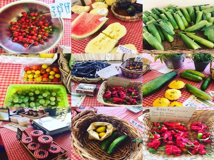 Dungog Local Growers Market