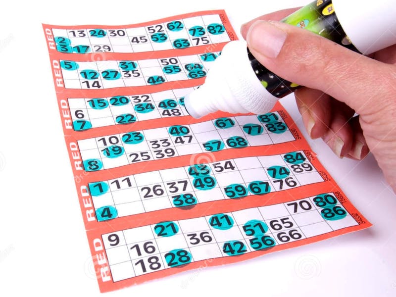 Image for Bungonia Bingo