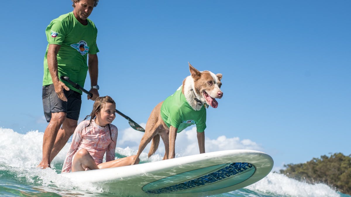 Surfing Dogs presented by VetShopAustralia