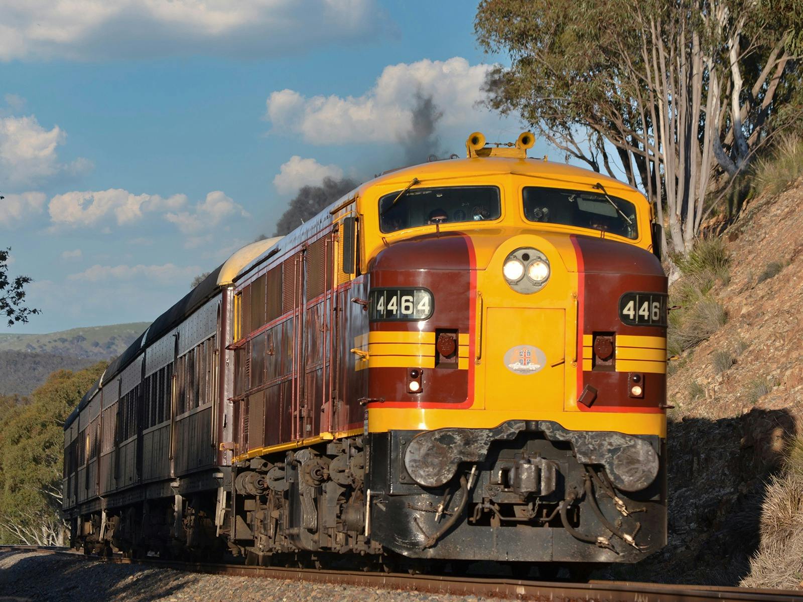 Privately chartered heritage train