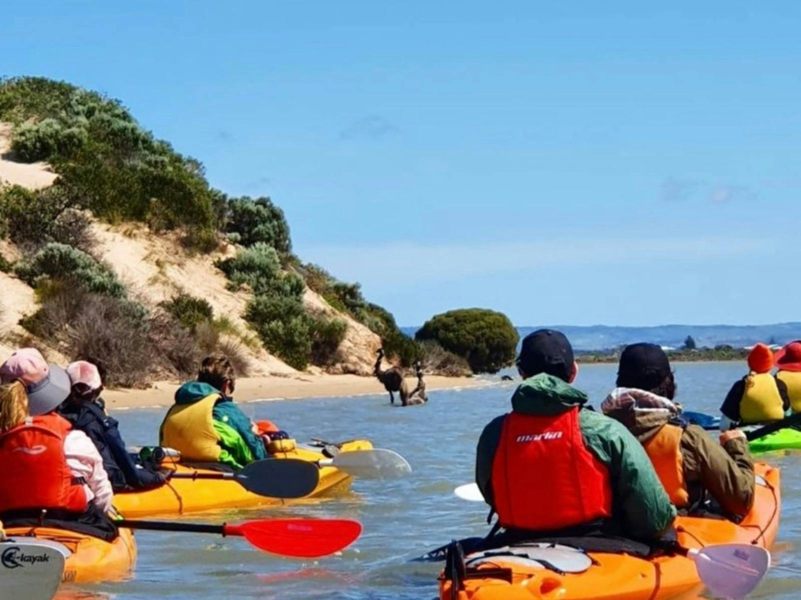 Emus with Canoe The Coorong and Enliven Outdoor Adventures Day Trip