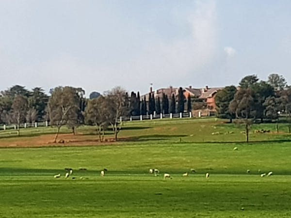 Stay Visit Wagga Wagga