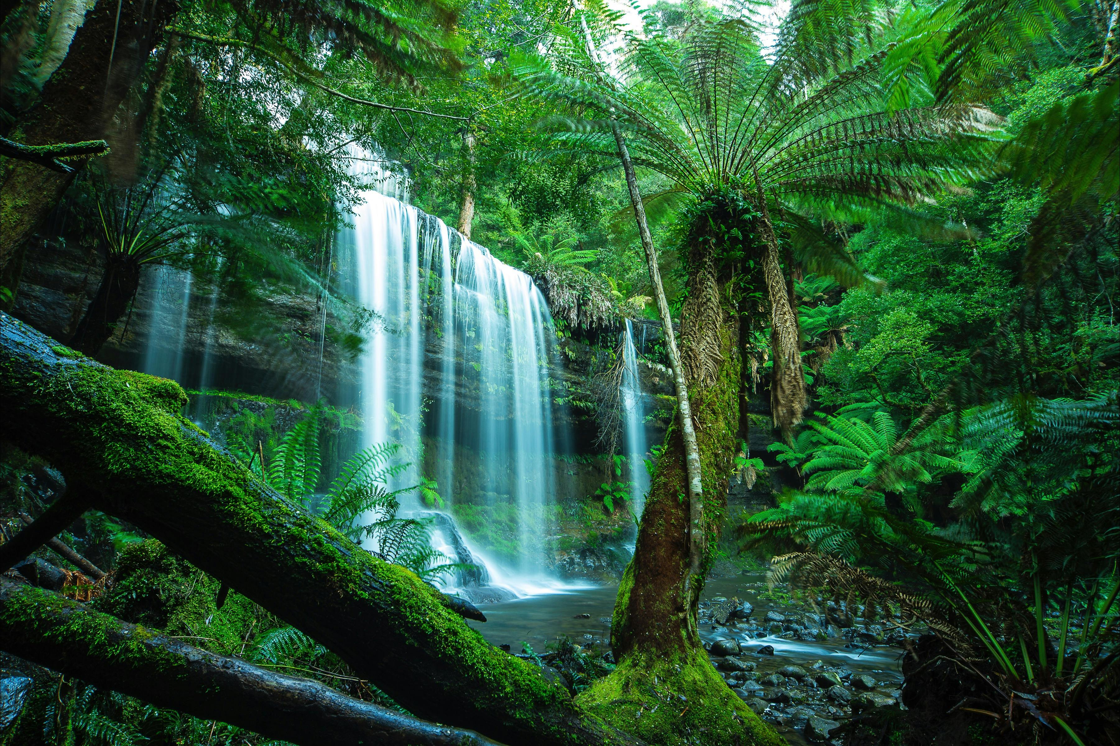 Russel Falls