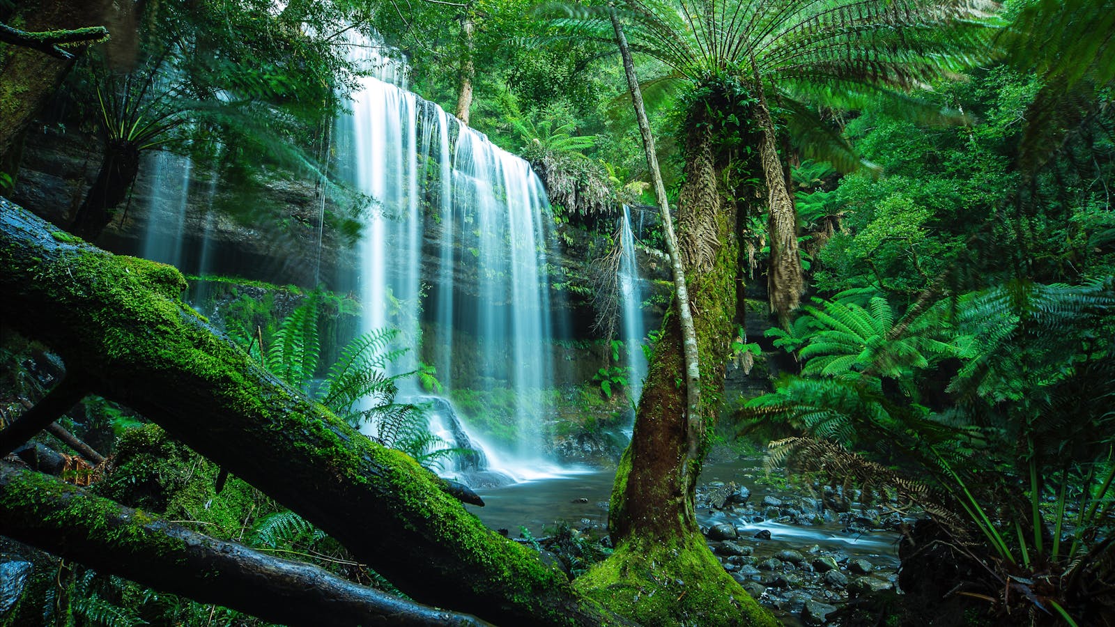 Tasmania Photography Tours