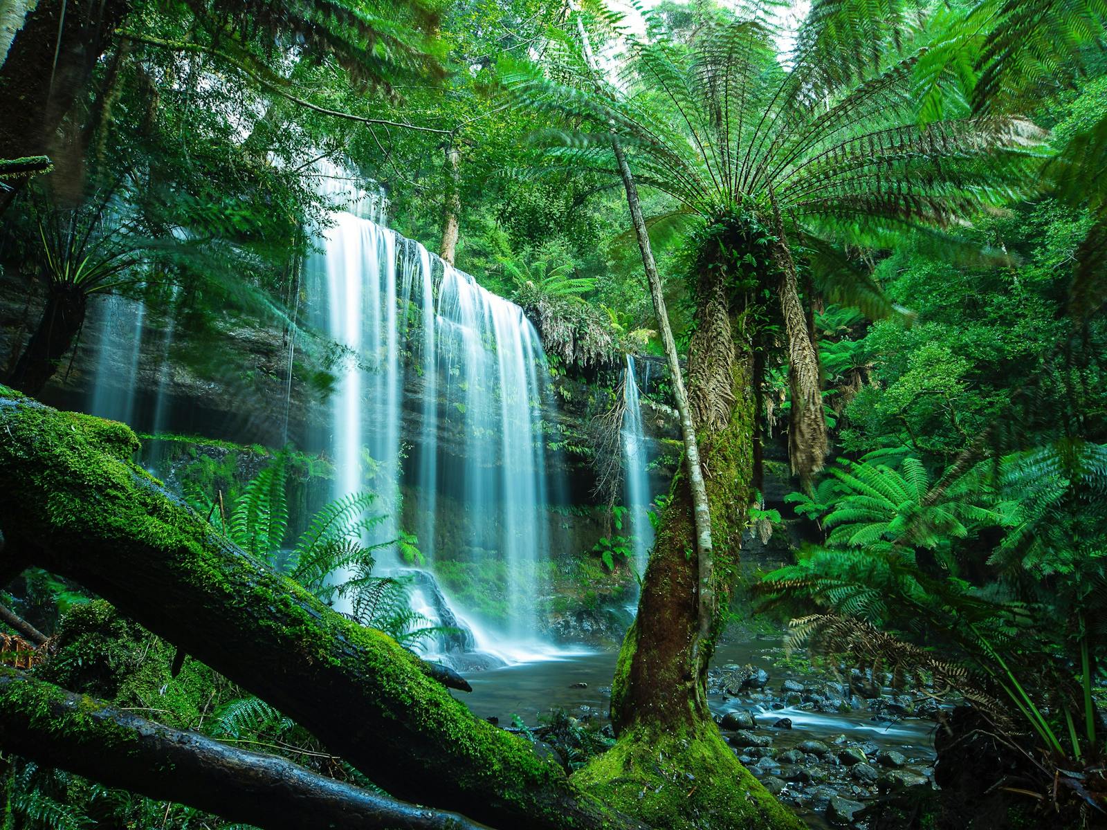 Tasmania Photography Tours