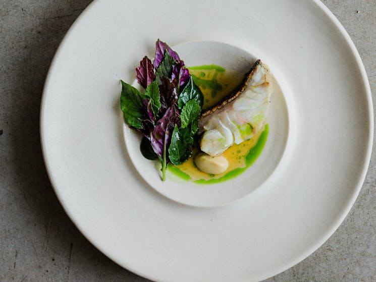 Sustainable seafood at Pipit