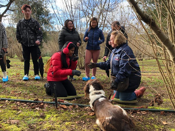 Truffle Hunt and Truffle Pizza