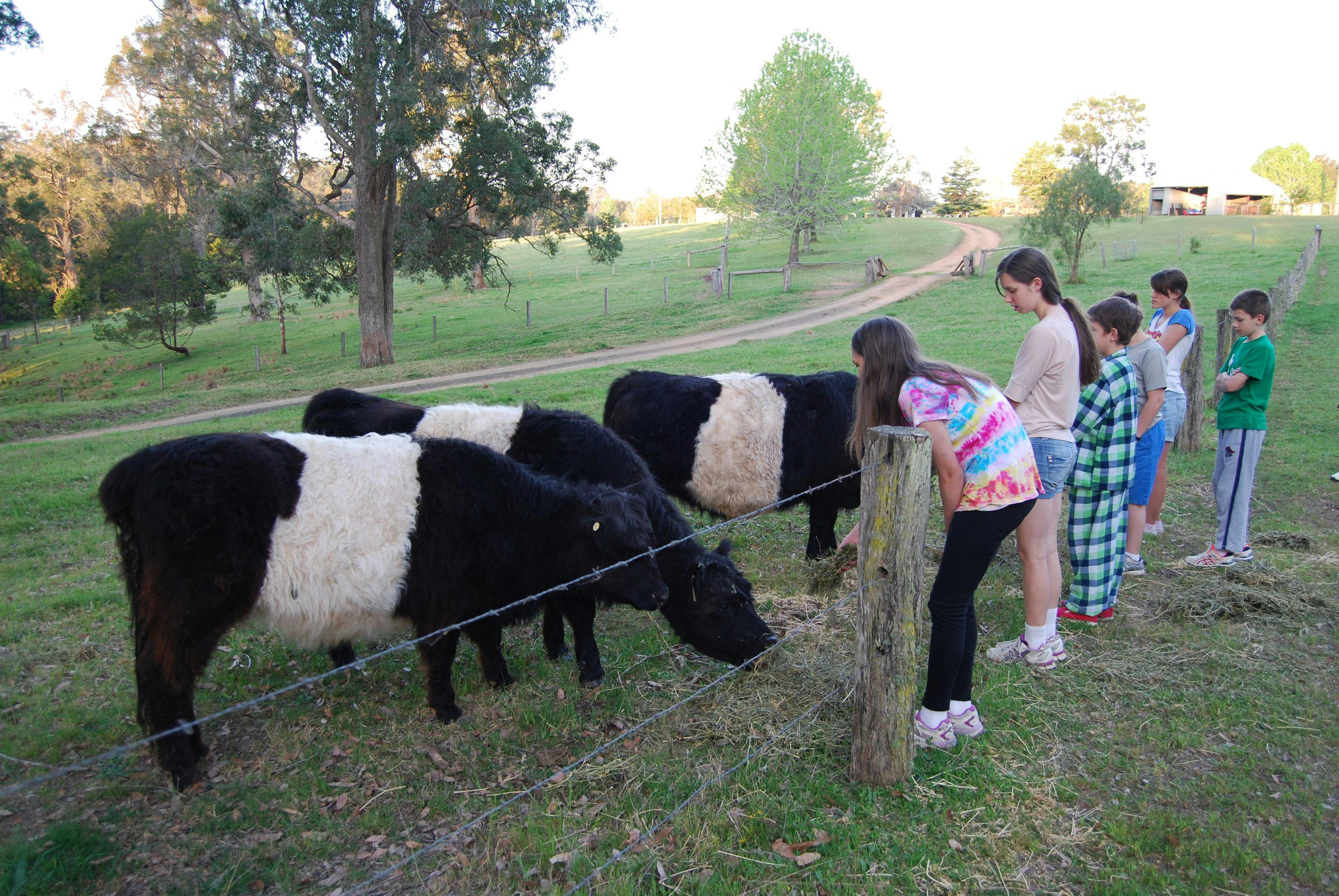 Ask for more information or visit website