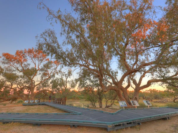 Burke And Wills Dig Tree | Attractions | Queensland