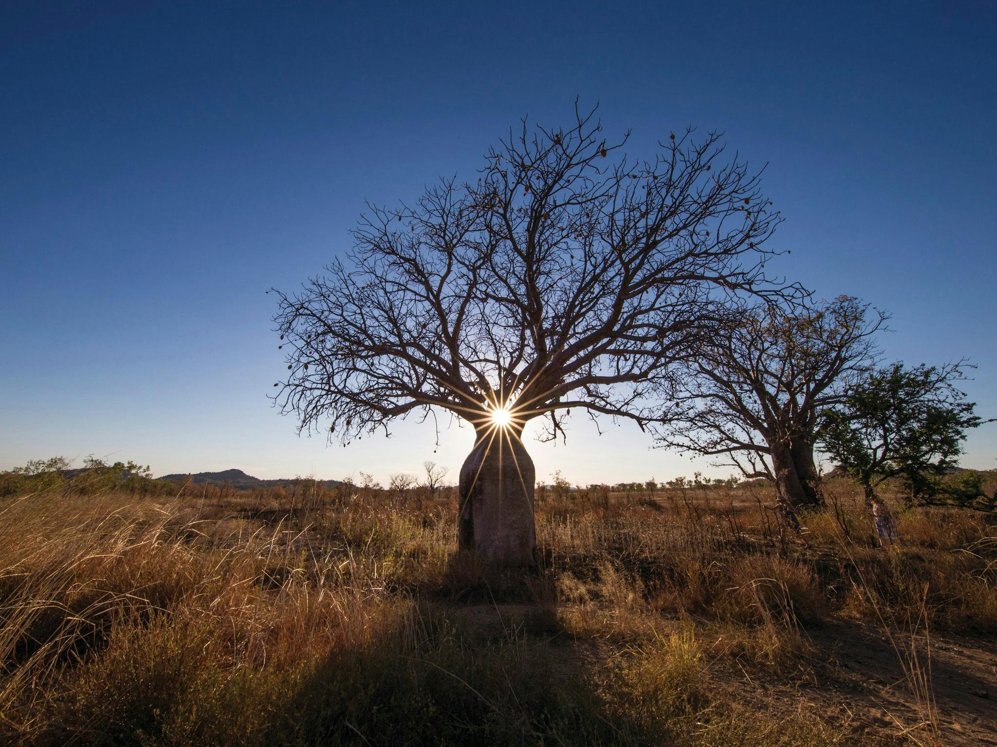 Kununurra Airport, Kununurra, Western Australia