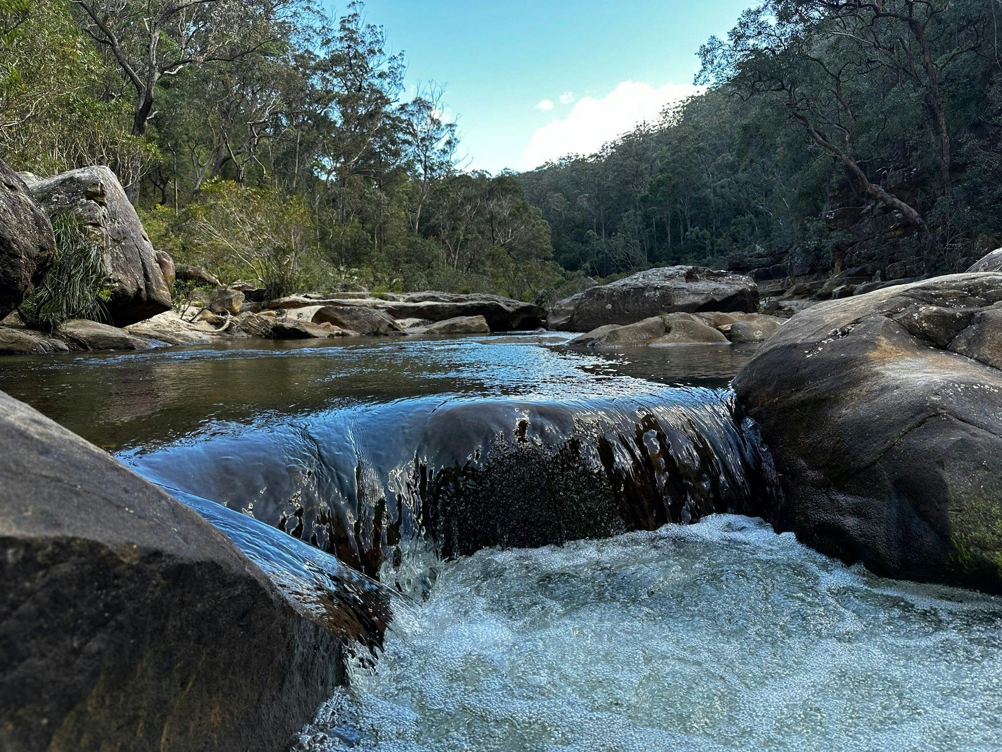 A stream cascades through the blue mountains bushland