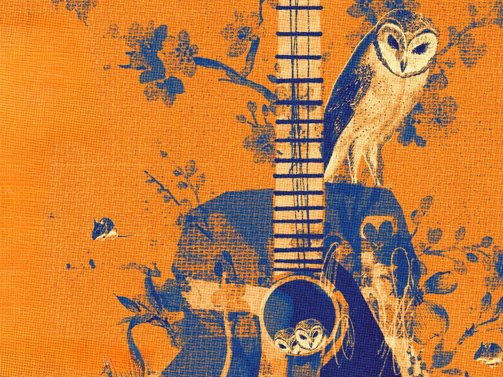 Folk Sounds