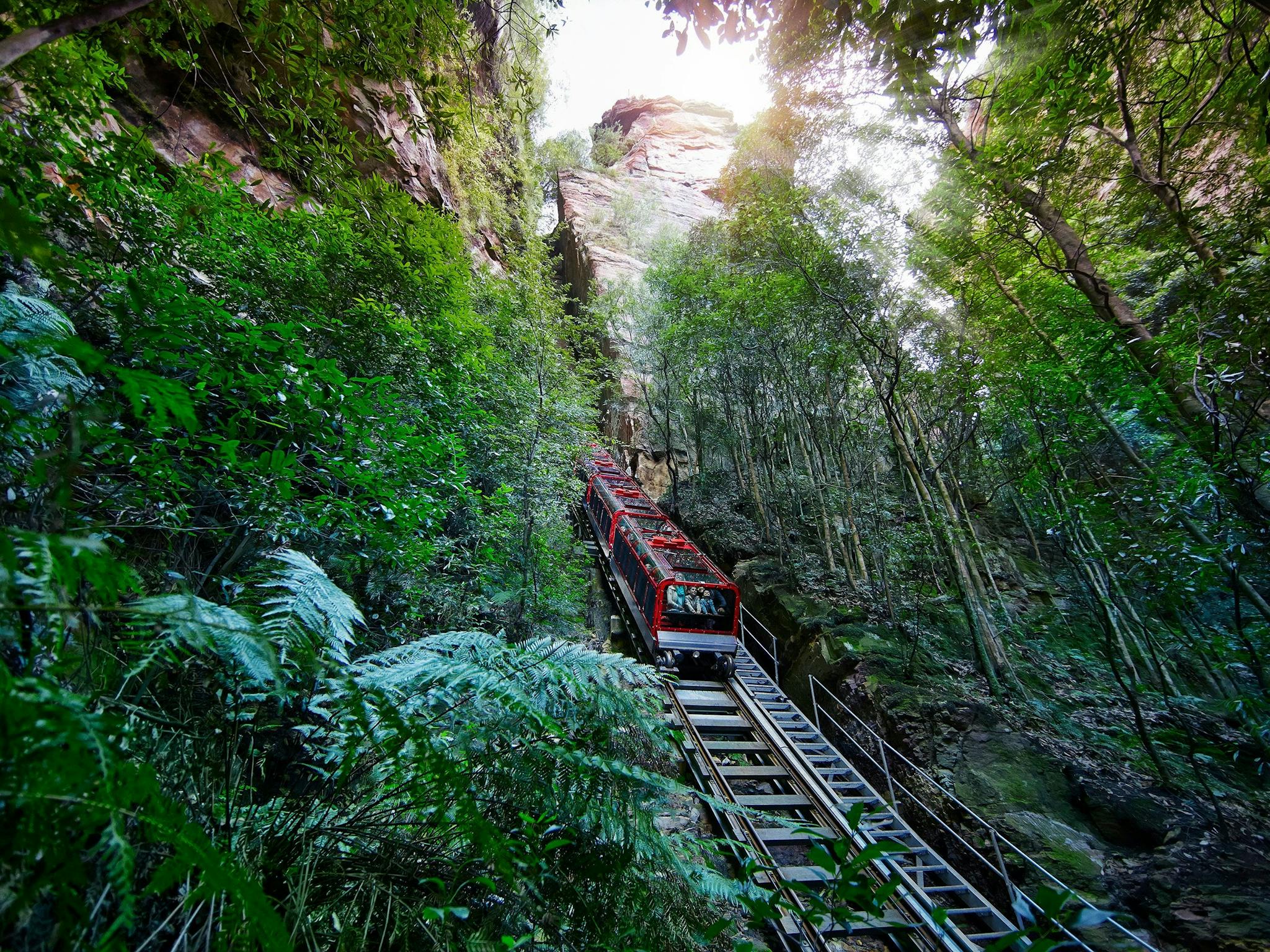 Scenic World Blue Mountains | NSW Holidays & Accommodation, Things to