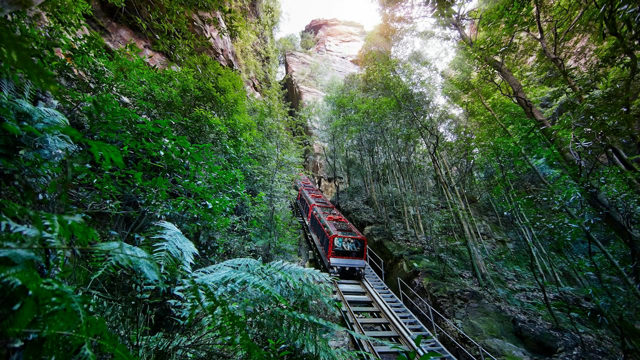 Scenic Railway - World's steepest train