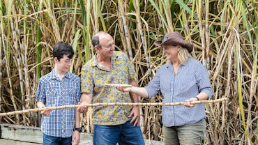 Sugar Cane Crop at Sarina Sugar Shed Taste of the Tropics Daily Guided Tours Mackay Queensland