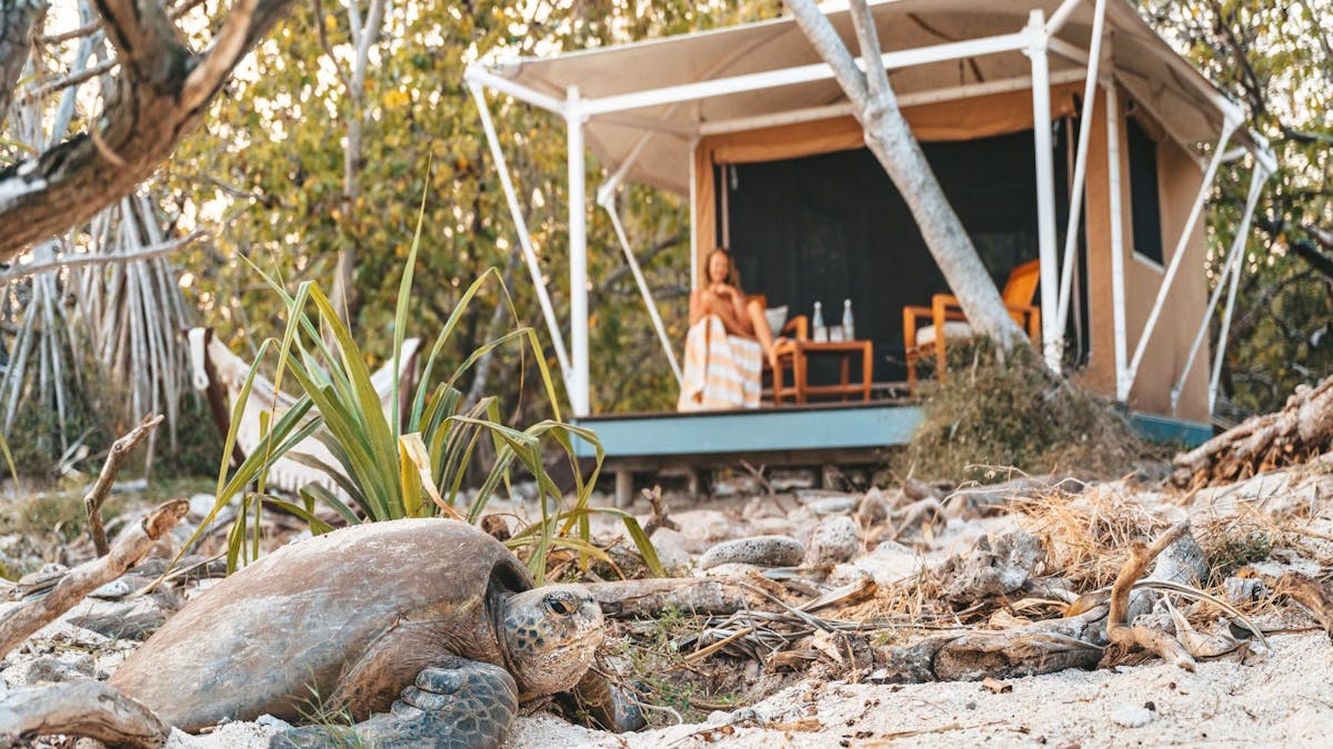 Wilson Island Accommodation