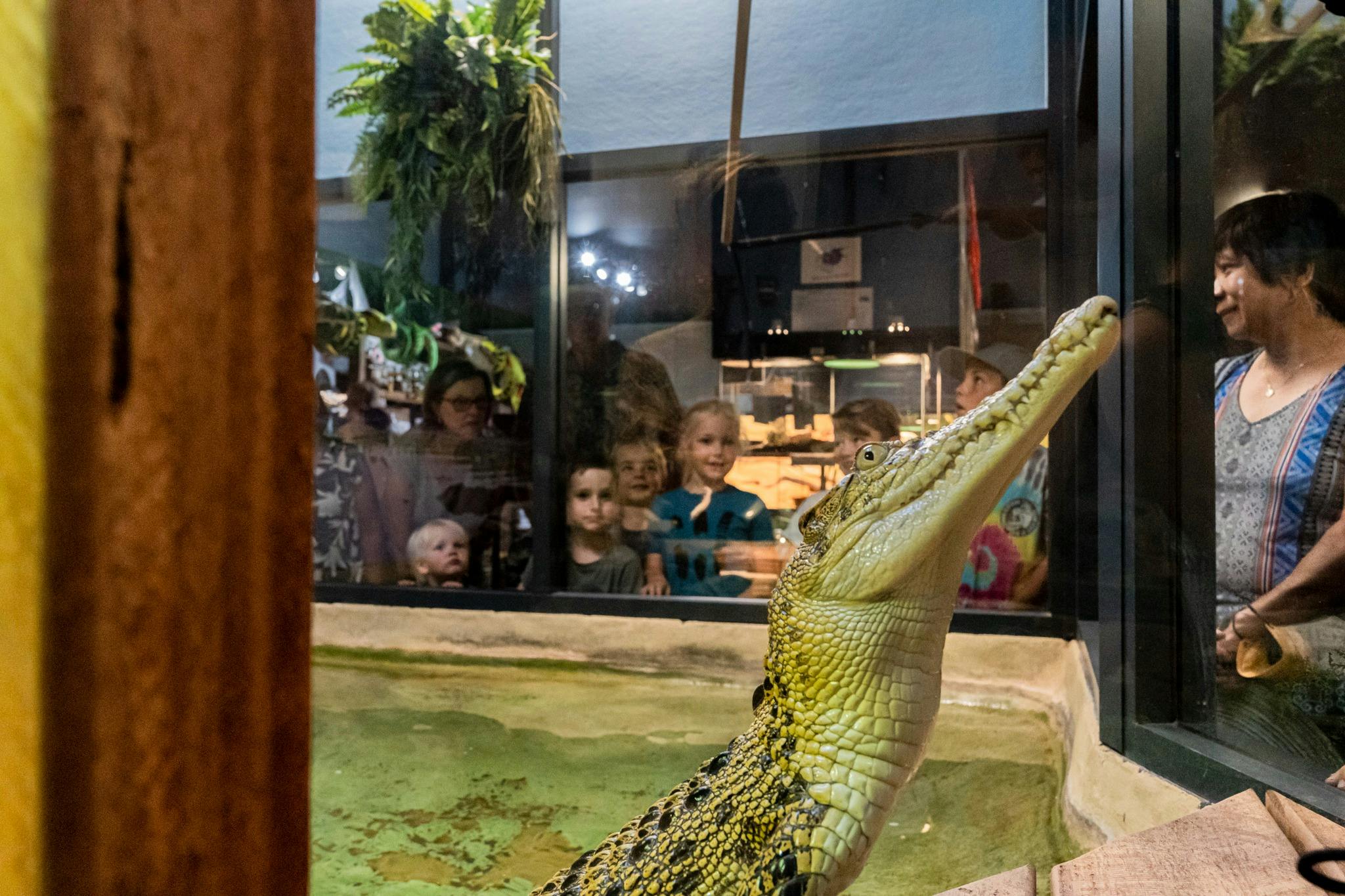 The ever popular Crocodile feeding