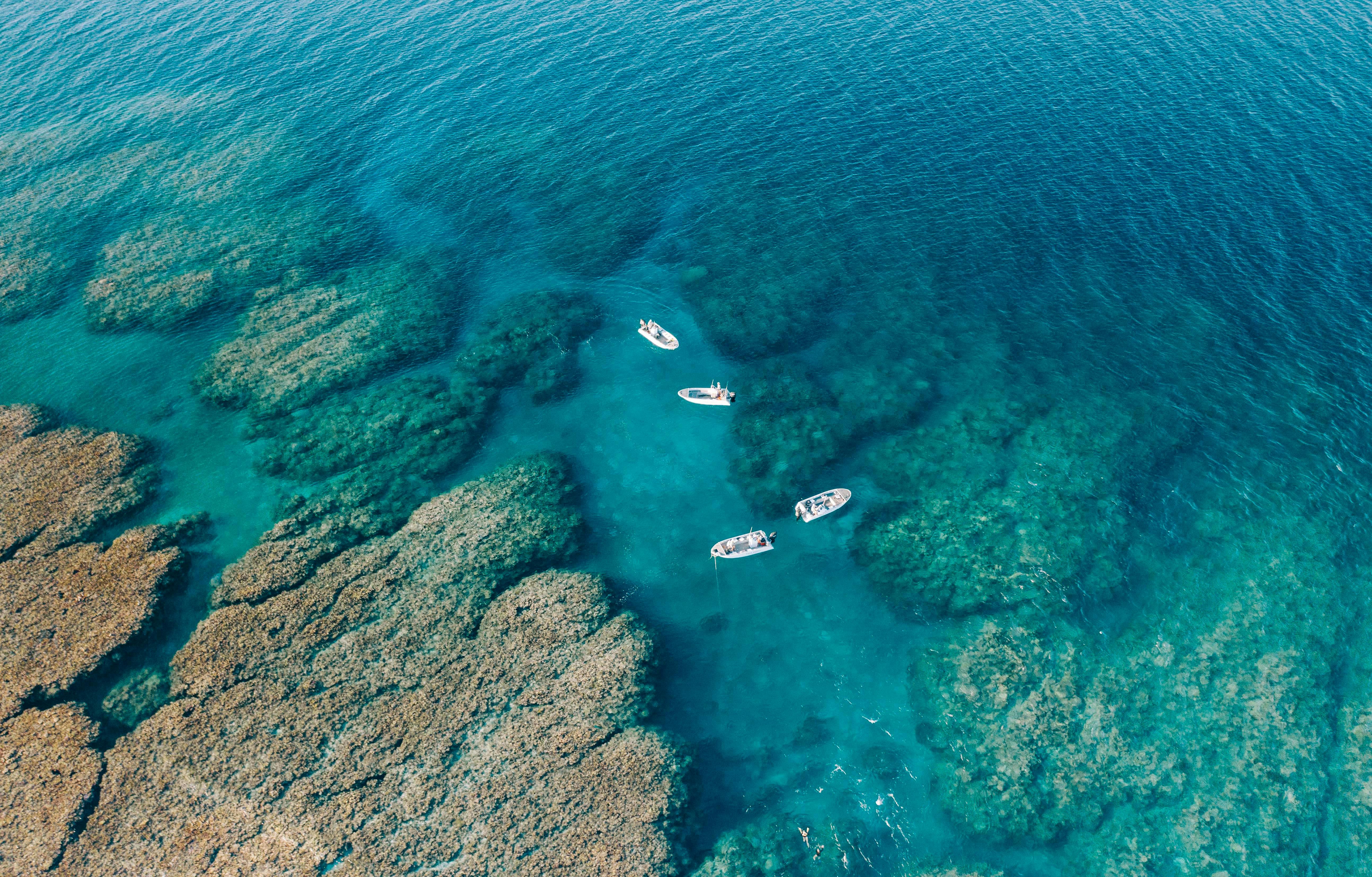 Snorkel the Rowley Shoals