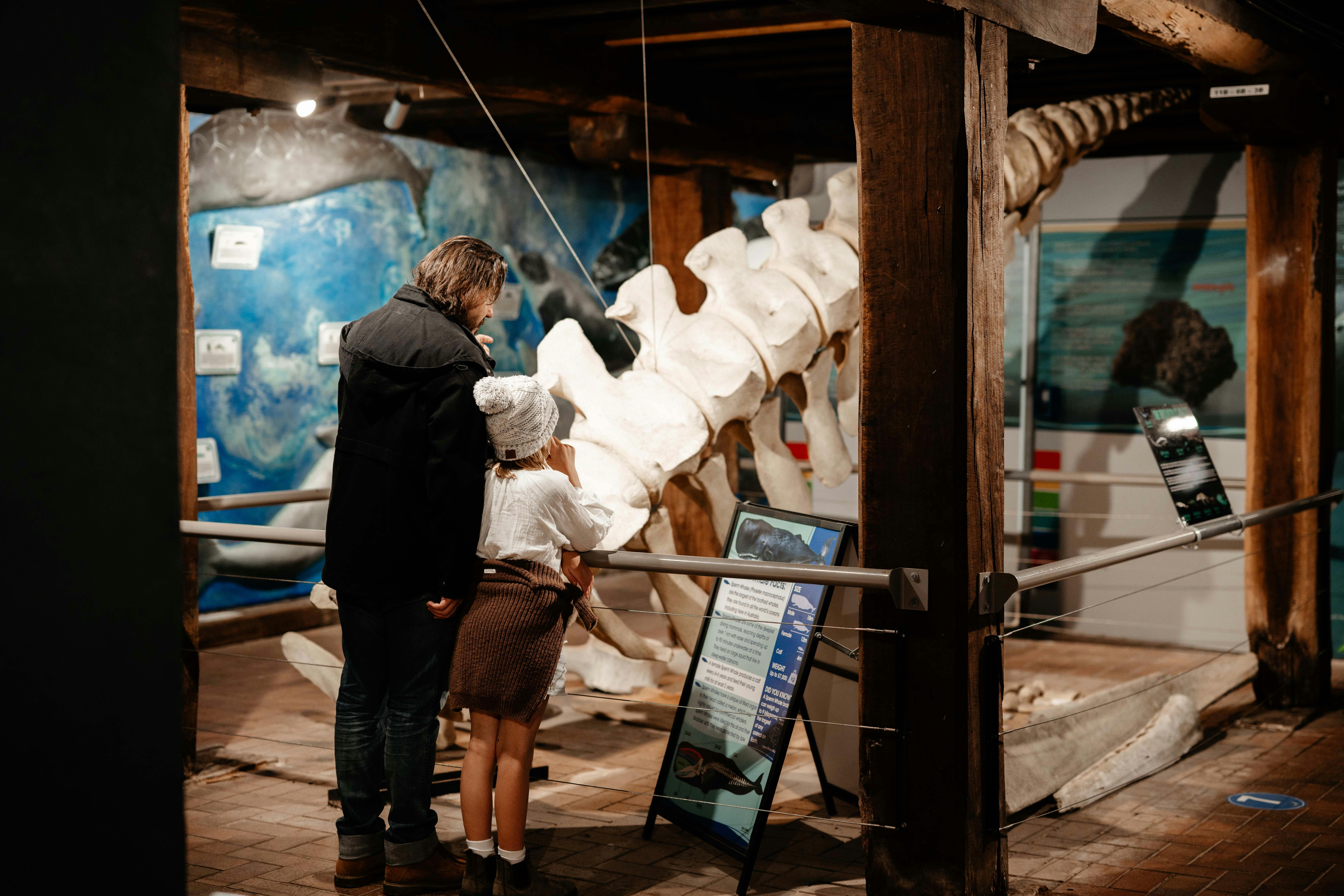 Looking at the whale backbone