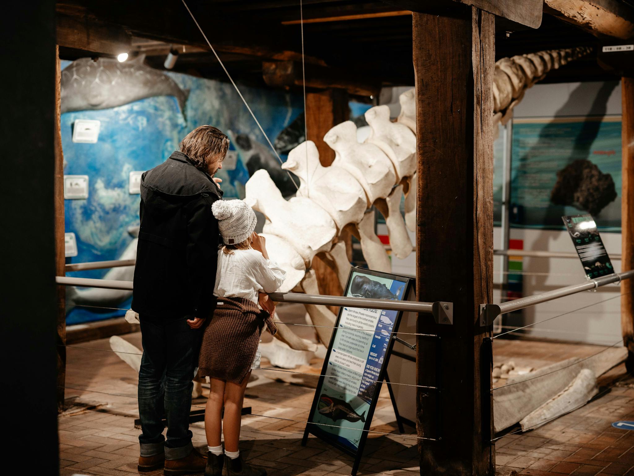 Looking at the whale backbone