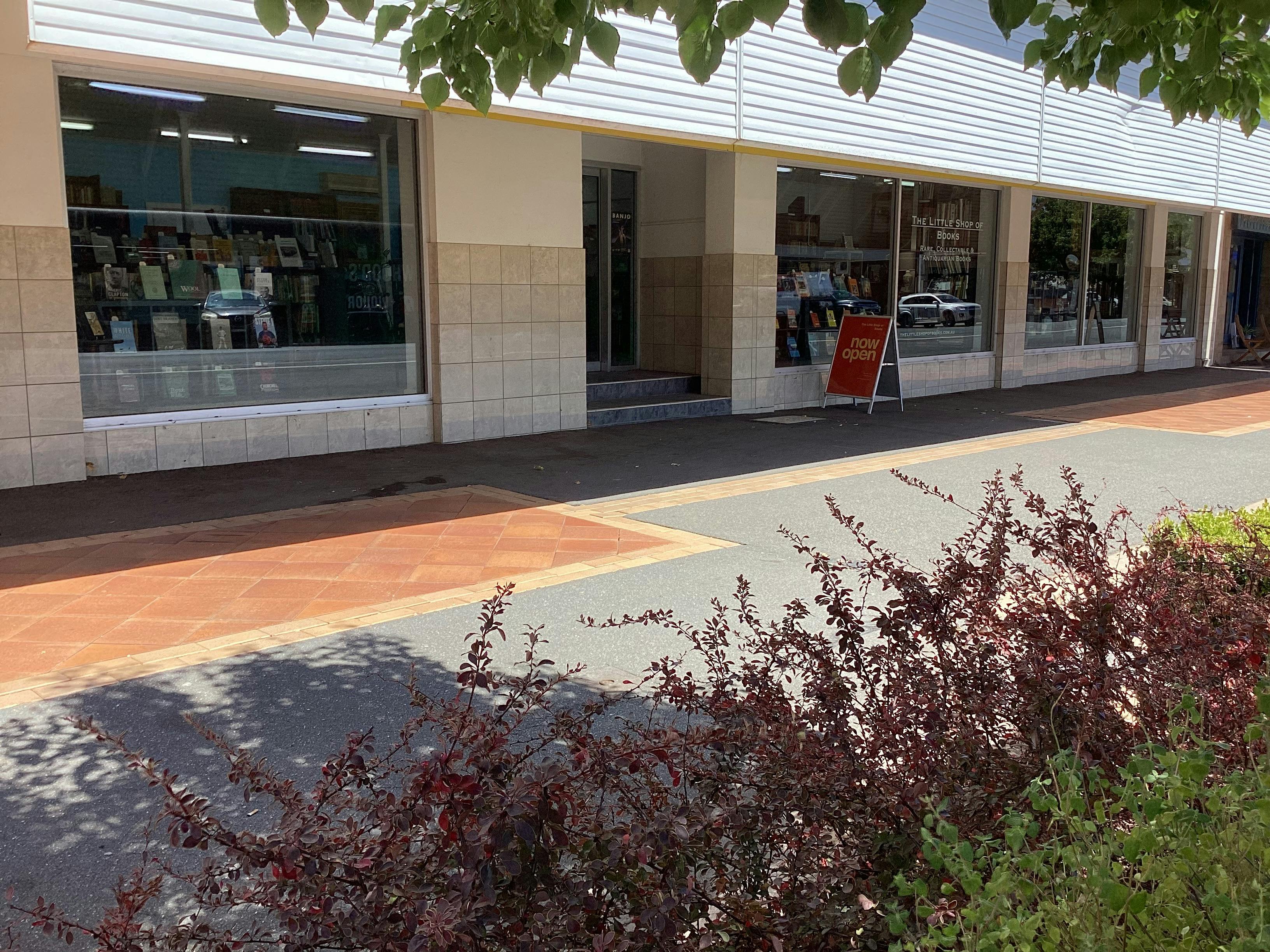 The Little Shop of Books