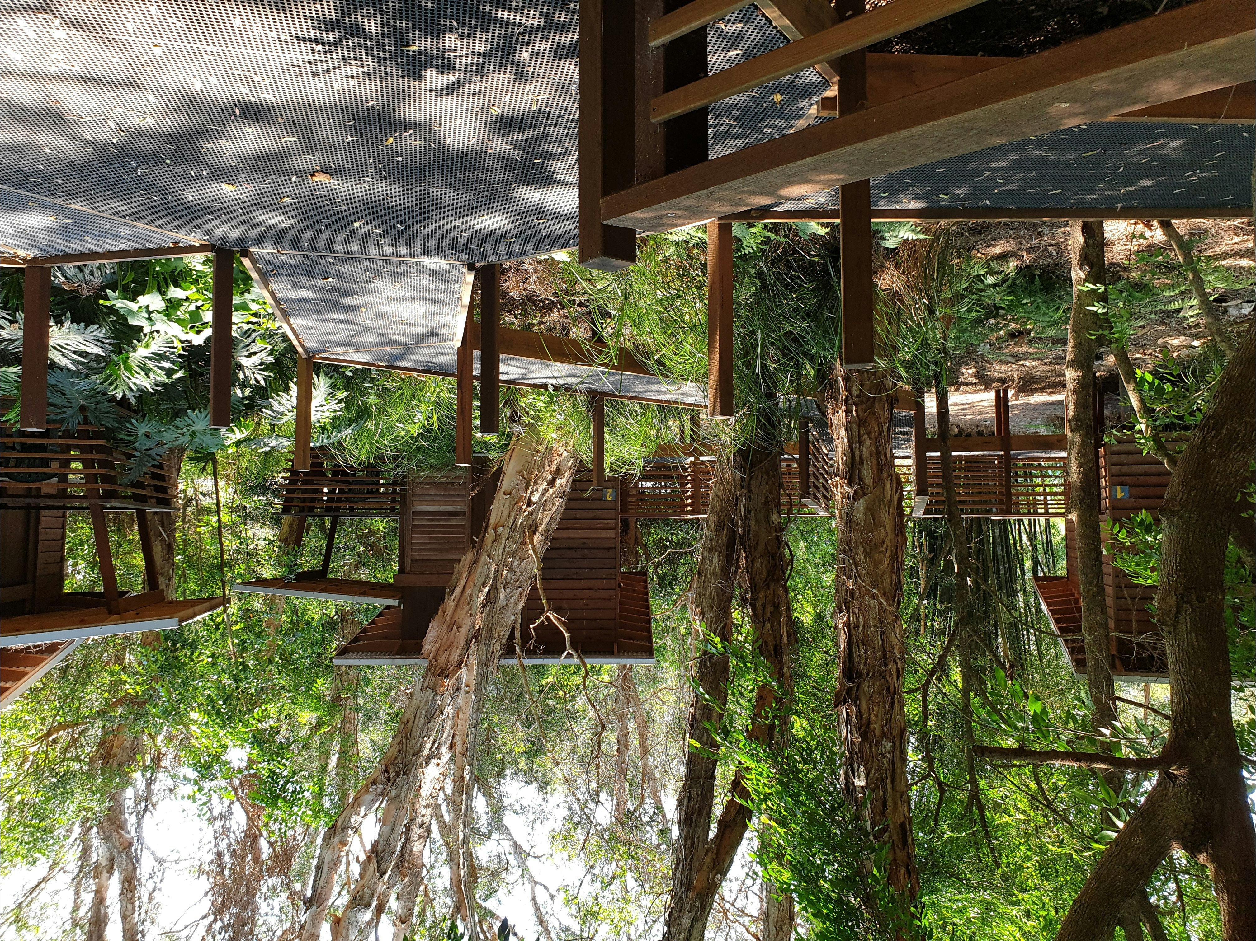 Melaleuca Surfside Backpackers