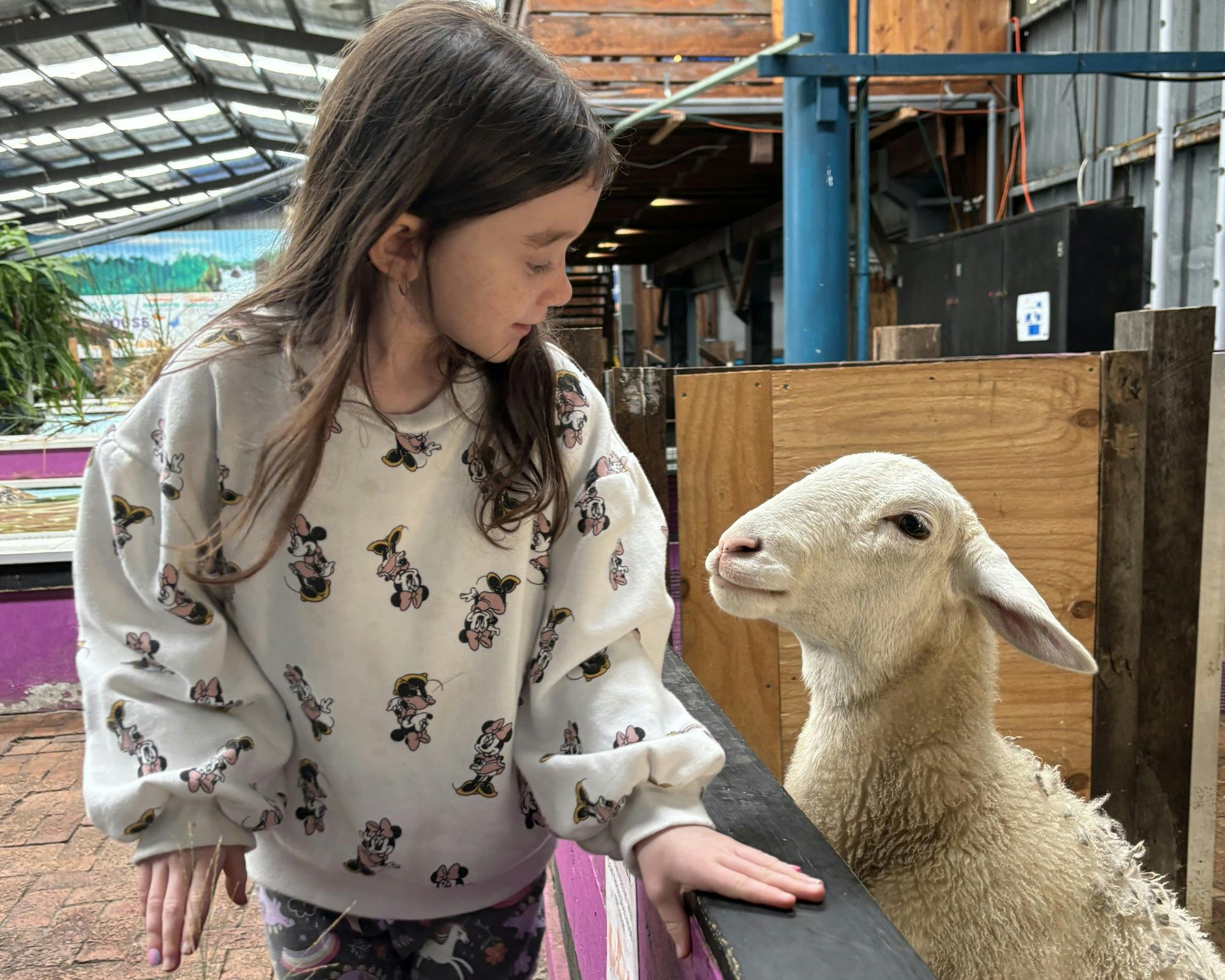 Pat our farm animals