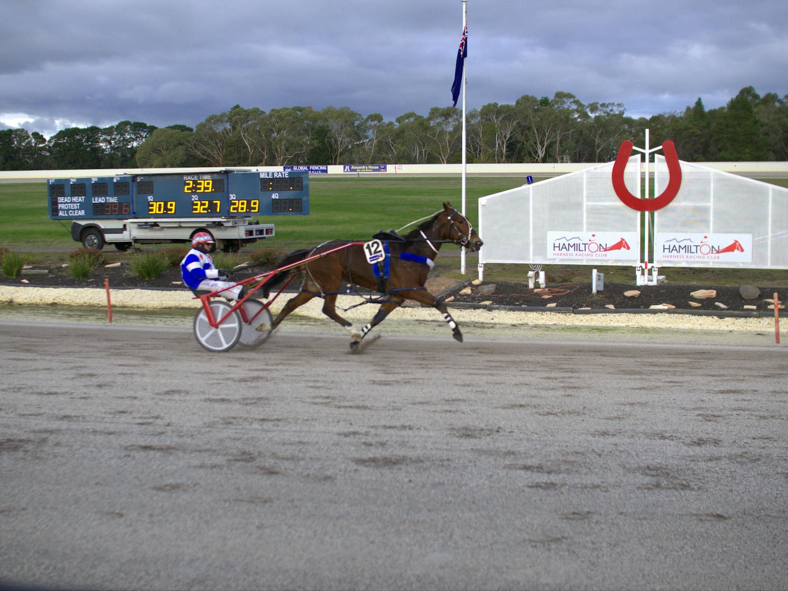 Image for Hamilton Harness Race Day