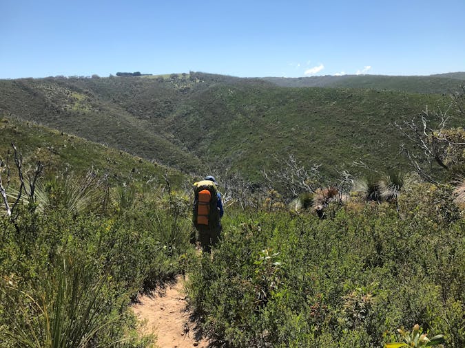 5 day wellness walking tour to Fleurieu Peninsula